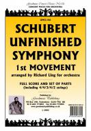 Symphony 8 (1st Movement) 