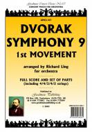 Symphony 9 (1st Movement) 