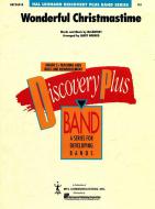 Wonderful Christmas Time 