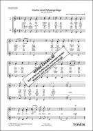 Und in dem Schneegebirge 