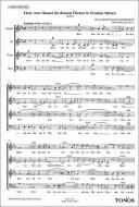 Herr, nun lässest du deinen Diener in Frieden fahren 