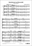 Nachthimmel und Sternenfall 