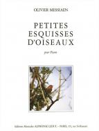 Petites Esquisses D Oiseaux 