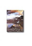 Popular Piano Solos Book 2 