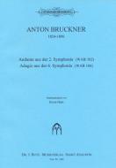Andante aus der 2. Symphonie (WAVB 102) & Adagio aus der 6. Symphonie (WAB 106) 