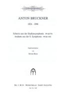 Andante aus der 0. Symphonie / Scherzo aus der Studiensymphonie 