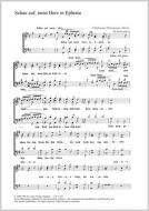 Schau auf, mein Herz 