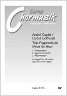 Trois Fragments du Miroir de Jésus 