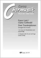 Liszt/Gottwald: Zwei Transkriptionen 