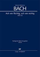 Ach wie flüchtig, ach wie nichtig 