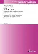Ziles zina Standard