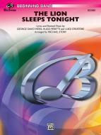 Lion Sleeps Tonight 