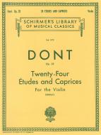 24 Etudes And Caprices For The Violin 