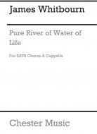 Pure River of Water of Life 