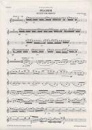 Pilgrim Sextet for Strings 