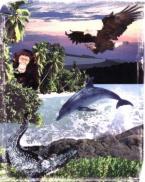 See You Later Alligator 