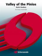 Valley Of The Pinios 