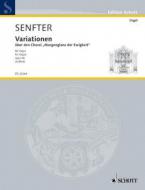 Variationen D-Dur op. 66 