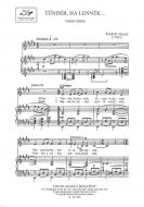 Tündér, ha lennék... 