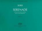 Serenade for horn and chamber ensemble 