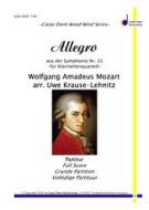Allegro aus der Symphonie Nr. 25 