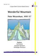 Wonderful Mountain 