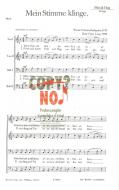 Meine Stimme klinge 