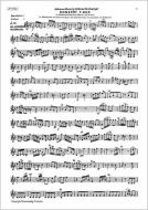 Doppelkonzert F-Dur für Maultrommel, Flöte und Zupforchester 