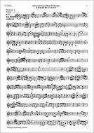 Doppelkonzert F-Dur für Maultrommel, Flöte und Zupforchester 