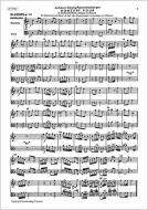 Doppelkonzert F-Dur für Maultrommel, Flöte und Zupforchester 