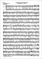 Doppelkonzert F-Dur für Maultrommel, Flöte und Zupforchester 