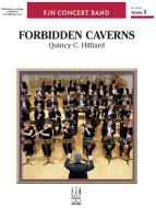 The Forbidden Caverns 