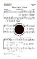 Freie Bauer 