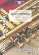 Jesu bleibet meine Freude 