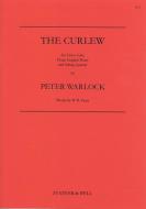 The Curlew 