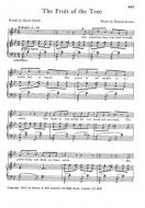 The Fruit Of The Tree 