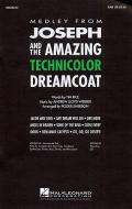 Joseph and The Amazing Technicolor Dreamcoat 