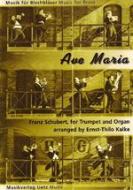 Ave Maria op. 52/6 D839 