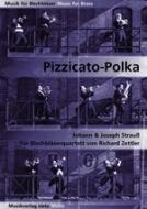 Pizzicato Polka 