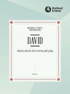 Maria durch den Dornwald ging 