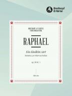 Ein Kindlein zart op. 39/1 