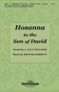 Hosanna To The Son Of David 