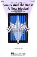 Beauty And The Beast: A New Musical 