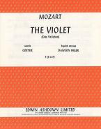 The Violet 