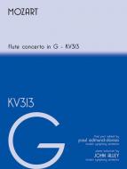 Concerto in G 