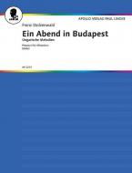 Ein Abend in Budapest 