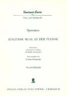 Singende Muse an der Pleisse 