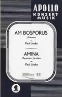 Am Bosporus / Amina 