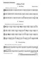 Zirkus Troll Standard