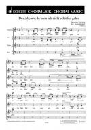 Des Abends, da kann ich nicht schlafen gehn Standard